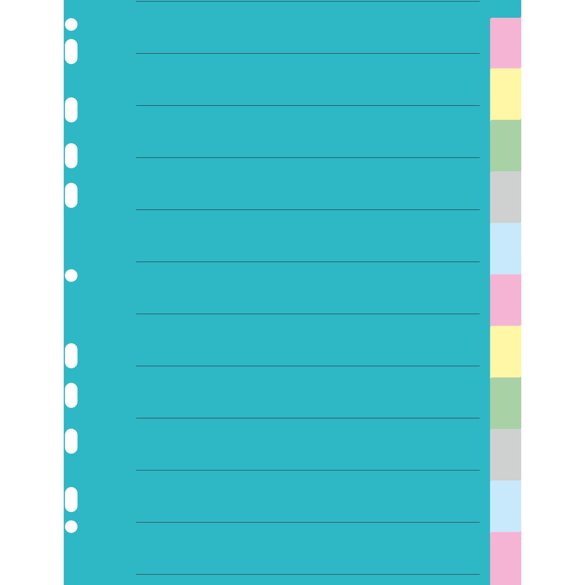 1052147.jpg Répertoire A4, carton 200 g/m2, 12 pièces, couleur - Image 1